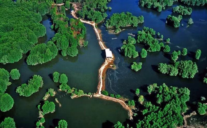 HCM City’s Can Gio reserve nominated as Ramsar site ảnh 1