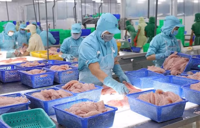 EVFTA opens door wider for Vietnamese goods to EU ảnh 1