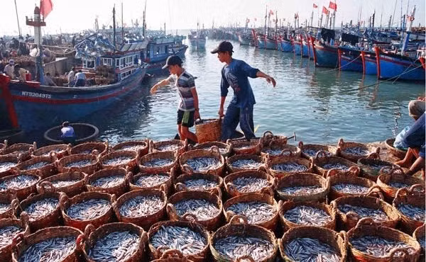 Tien Giang follows recommendations on the prevention of illegal fishing ảnh 1