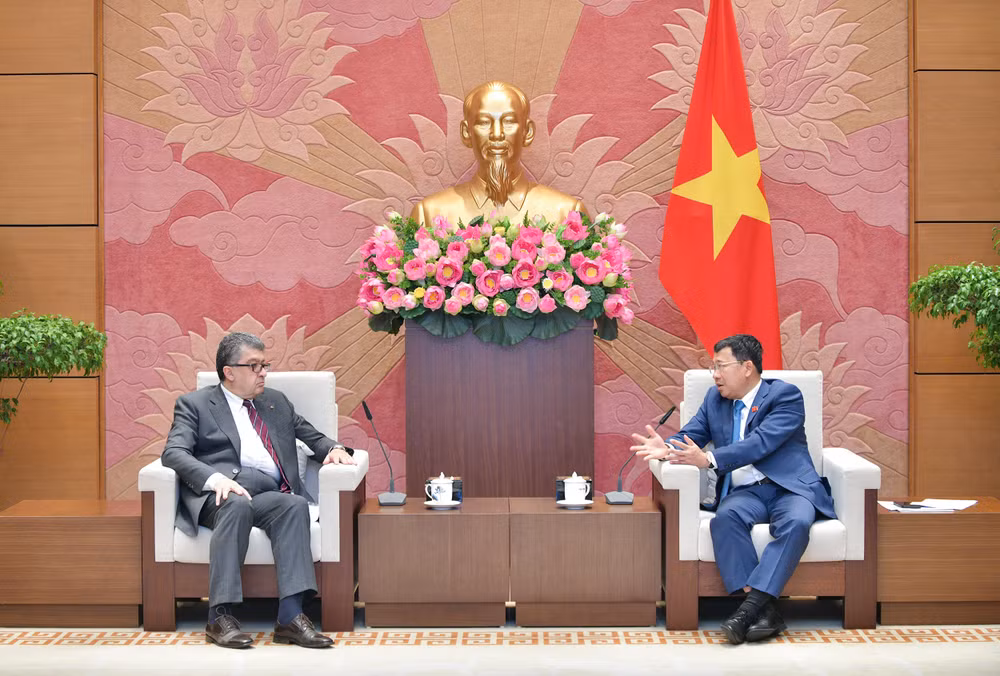 Vietnam treasures friendship, cooperation with Armenia: NA official ảnh 1