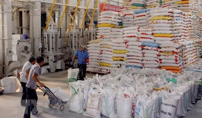 Ministry building long-term strategy on rice exports, market stabilisation: official ảnh 1 Ministry building long-term strategy on rice exports, market stabilisation: official ảnh 1