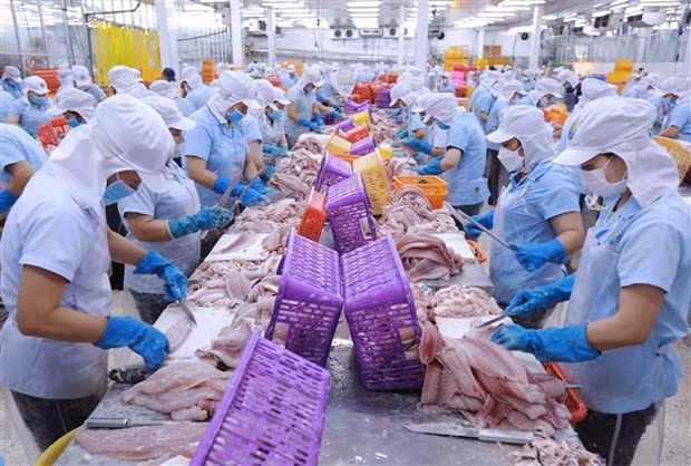 EVFTA positively affecting Vietnam's trade with EU, Germany: Expert ảnh 1