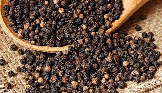 Sustainable production key for Vietnamese pepper to further enter EU: insider ảnh 1