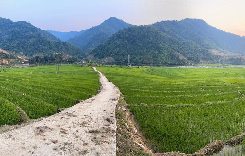 Directive issued to fuel development of border areas ảnh 3