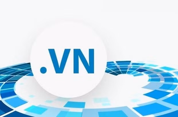 Dong Thap has first office for domain name “.vn” registration ảnh 1