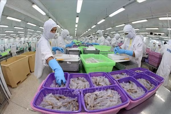 Vietnam’s GDP estimated to expand 4.48 percent in Q1 ảnh 2