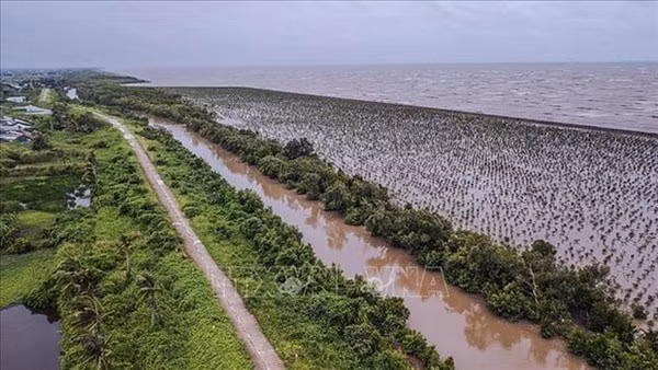 Experts seek measures to promote Mekong Delta’s sustainable growth ảnh 1