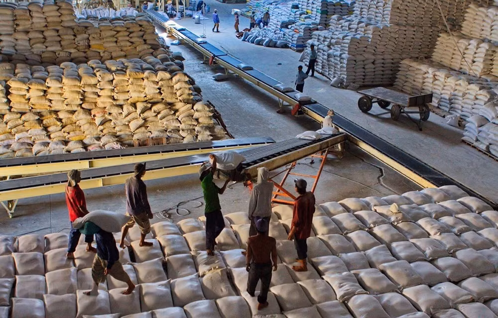 Vietnam ships 638,000 tonnes of rice abroad in Jan-Feb ảnh 1 Vietnam ships 638,000 tonnes of rice abroad in Jan-Feb ảnh 1