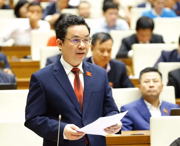 Legislators comment on Gov’t performance over last five years ảnh 2 Legislators comment on Gov’t performance over last five years ảnh 2