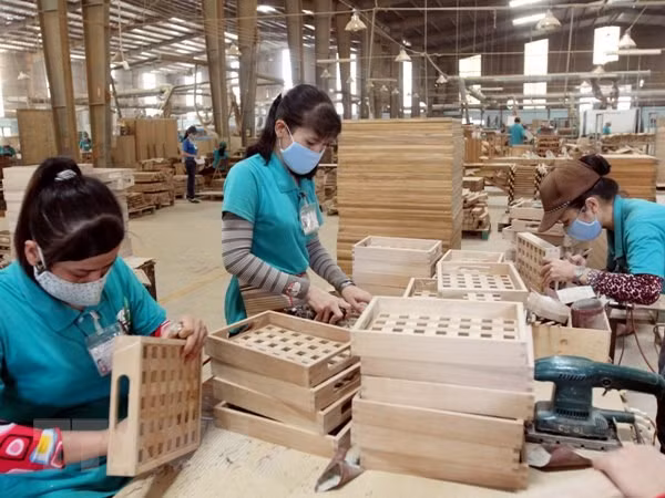 US market offers great potential for Vietnamese craft, wood firms ảnh 1
