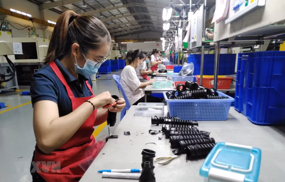 Dong Nai works to drive economic development ảnh 2