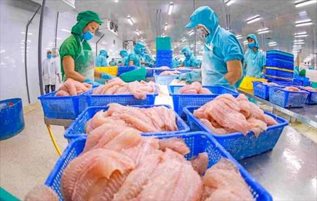 Agricultural exports to reach 54-billion-USD target ảnh 3