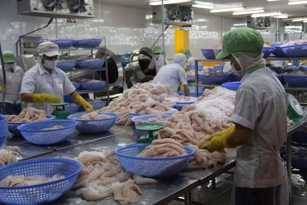 Vietnam among countries taking the lead in sustainable economic development ảnh 1