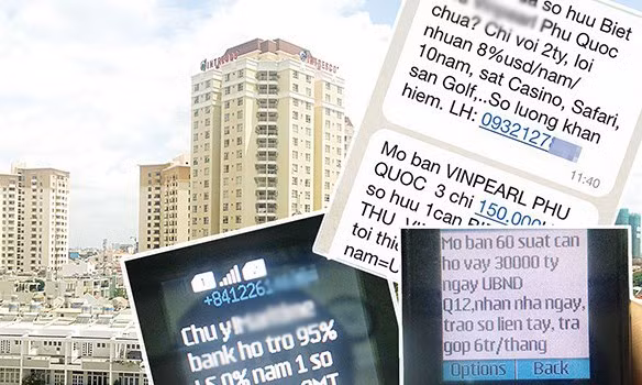 Real estate sellers to push social media and e-commerce marketing amid crackdown on spam ảnh 1