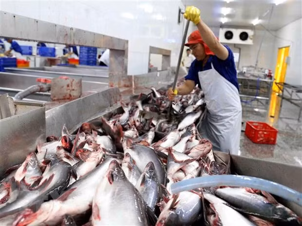 Vietnamese companies allowed to resume seafood exports to Saudi Arabia ảnh 1