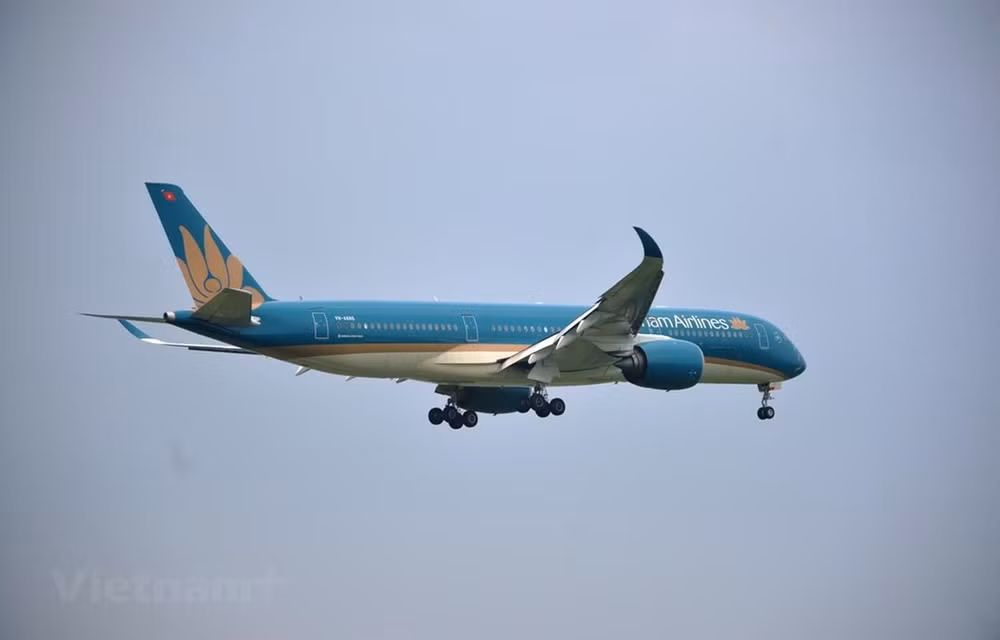 Vietnam Airlines’ domestic passenger throughput grows despite COVID-19 ảnh 1
