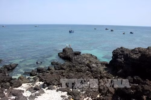 More efforts needed to preserve biodiversity on Ly Son Island ảnh 1