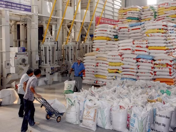 Bangladeshi Embassy informs invitation of tenders for rice import ảnh 1