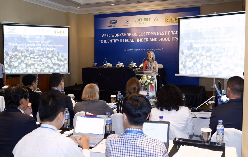 APEC members share experience in illegal wood trade control ảnh 1