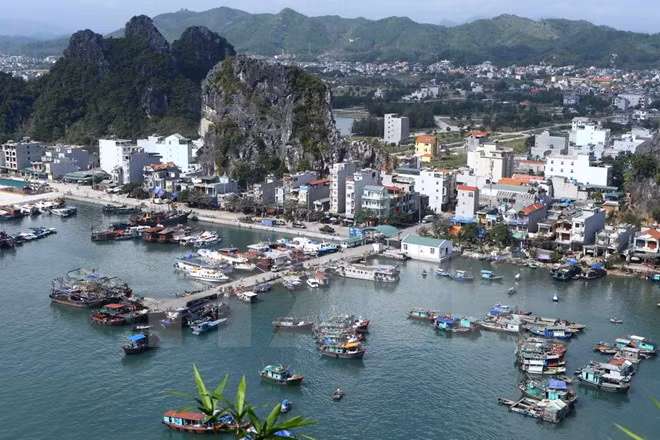 Van Don Special Economic Zone envisioned to be green, modern urban ảnh 1