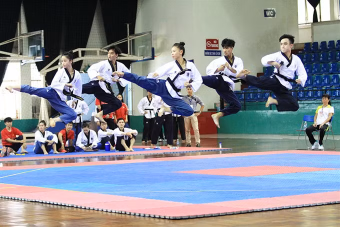 Taekwondo artists target four golds in SEA Games ảnh 1 Taekwondo artists target four golds in SEA Games ảnh 1