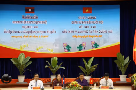 Vietnamese, Lao women parliamentarians visit Quang Nam ảnh 1