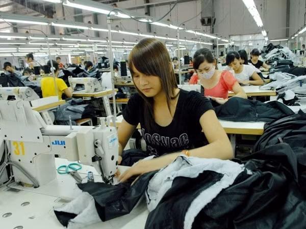 Ho Chi Minh City to host Cotton Day in September ảnh 1
