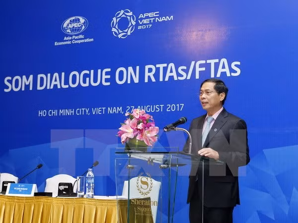 APEC economies share experience in engaging in RTAs/FTAs ảnh 1
