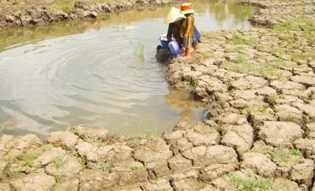 Forum to discuss cooperate responsibility towards climate change ảnh 1 Forum to discuss cooperate responsibility towards climate change ảnh 1
