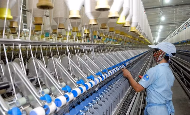 Sustainability key to cotton production growth: Experts ảnh 1