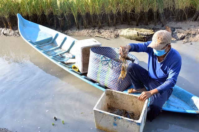 Kien Giang province expands aquaculture ảnh 1