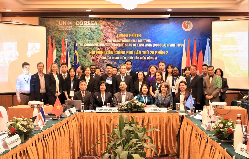 East Sea Asian nations take joint action against marine plastic pollution ảnh 1