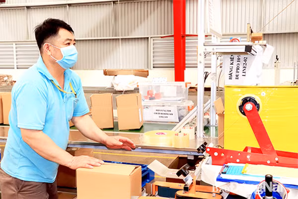 Dong Nai enterprises seek new markets amid uncertain global economy ảnh 1