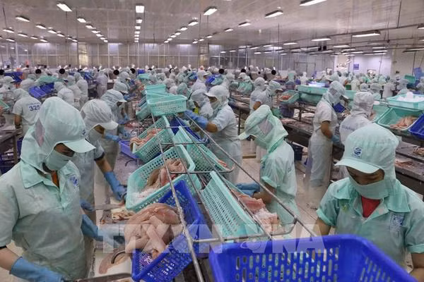  Bright prospects expected for Vietnam-US trade ties: Official ảnh 2