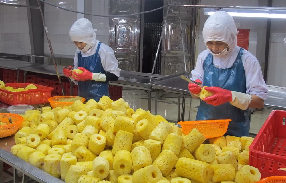 Netherlands a gateway for Vietnam to EU market ảnh 1