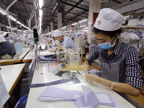 Nearly 102,000 labourers register in August ảnh 1