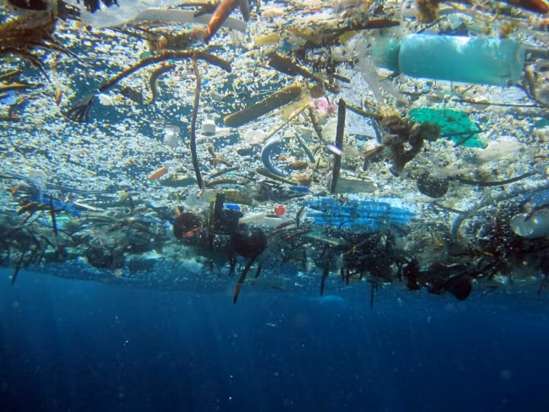 East Asian countries join hands to fight plastic waste in ocean ảnh 1