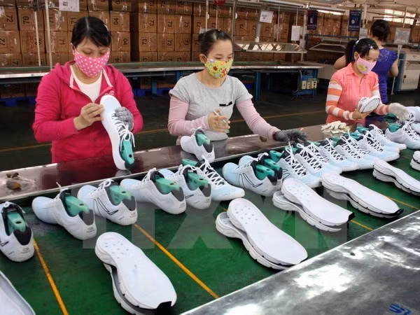 Dong Nai records 1.7 billion USD in trade surplus ảnh 1