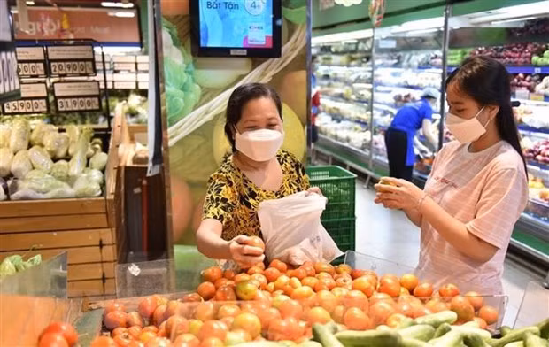 Ministry forecasts CPI to grow 3.2-3.6% this year ảnh 1