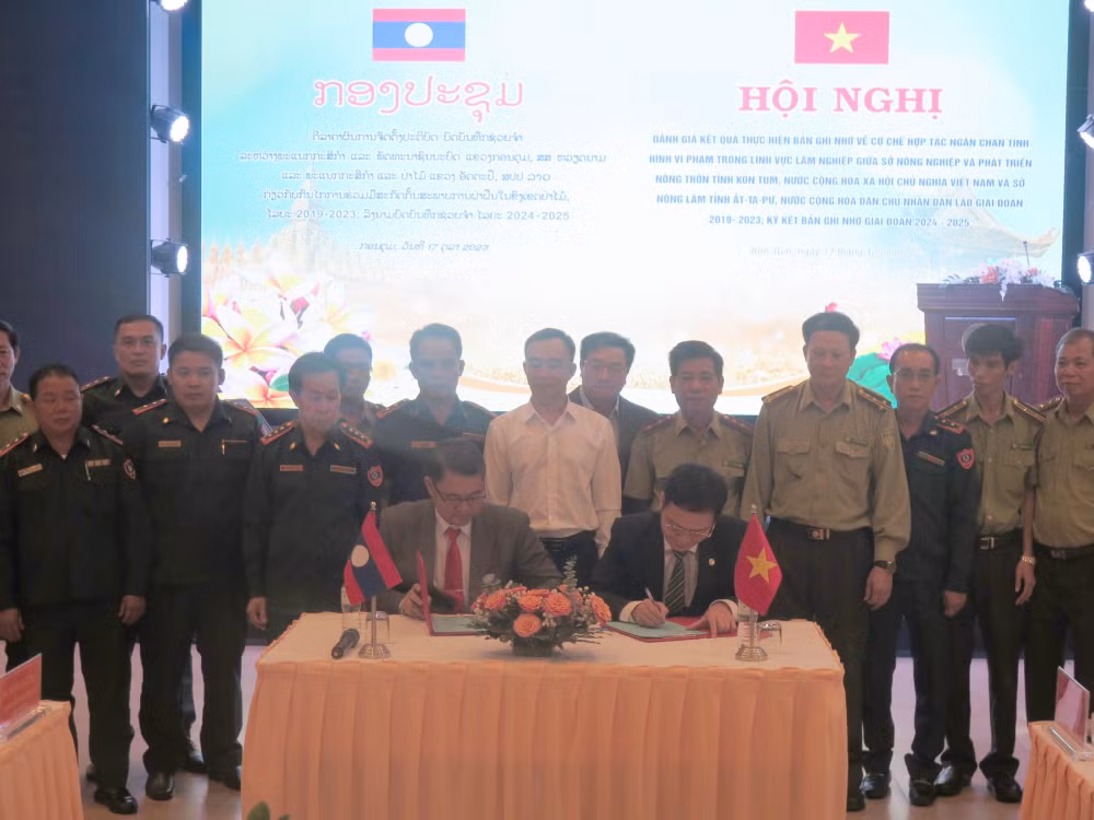 Vietnamese, Lao provinces intensify cooperation in forest protection ảnh 1