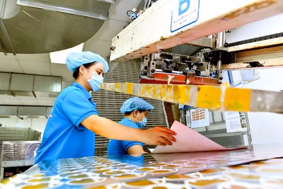Firms hold chances to boost supporting industries amid FDI inflows ảnh 2 Firms hold chances to boost supporting industries amid FDI inflows ảnh 2