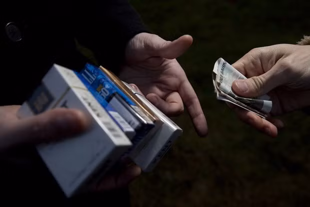 ASEAN, Australia launch project to tackle illicit tobacco ảnh 1