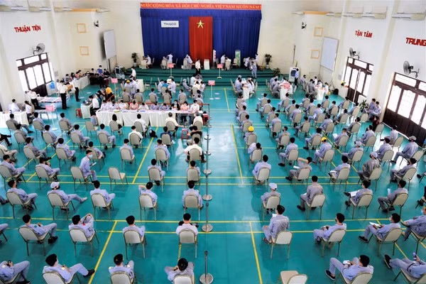 Social security sector makes efforts to support pandemic-hit labourers, bussinesses ảnh 3