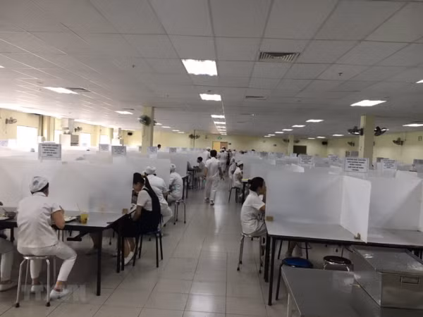 Social security sector makes efforts to support pandemic-hit labourers, bussinesses ảnh 1