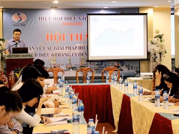 Cashew sector calls for 800 million USD credit package ảnh 1