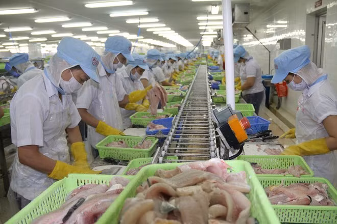 Vietnam can gain from the US-China trade war: Economist ảnh 1