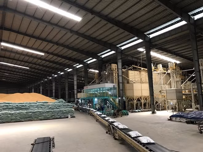 Vietnam wins contract to export rice to RoK ảnh 1
