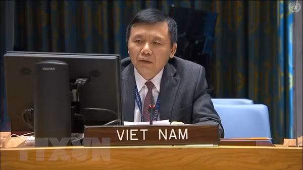 Vietnam calls on Mali to increase national conciliation, implement transition roadmap ảnh 1
