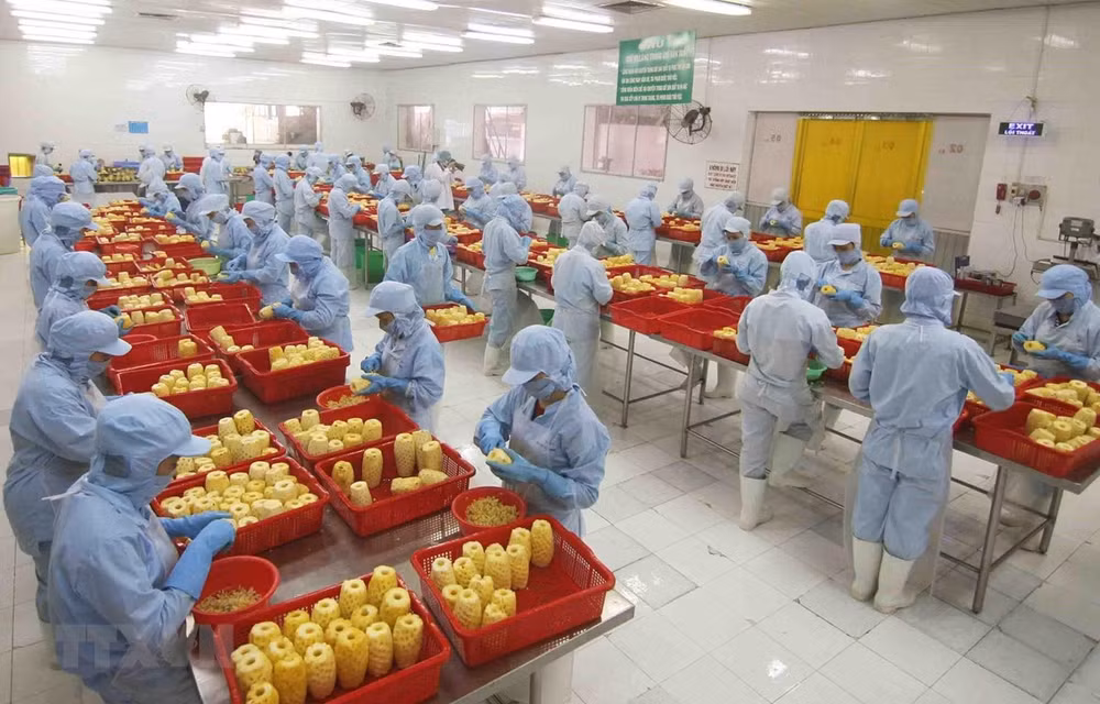 Manufacturing and processing sector playing key role in FDI attraction ảnh 1