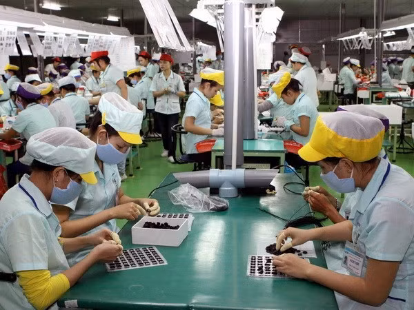 Long An province’s six-month industrial production index up 7.5 percent ảnh 1